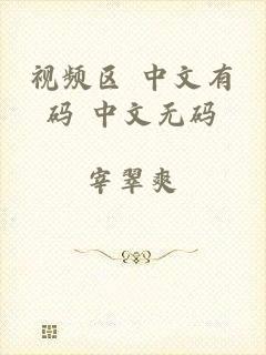 视频区 中文有码 中文无码